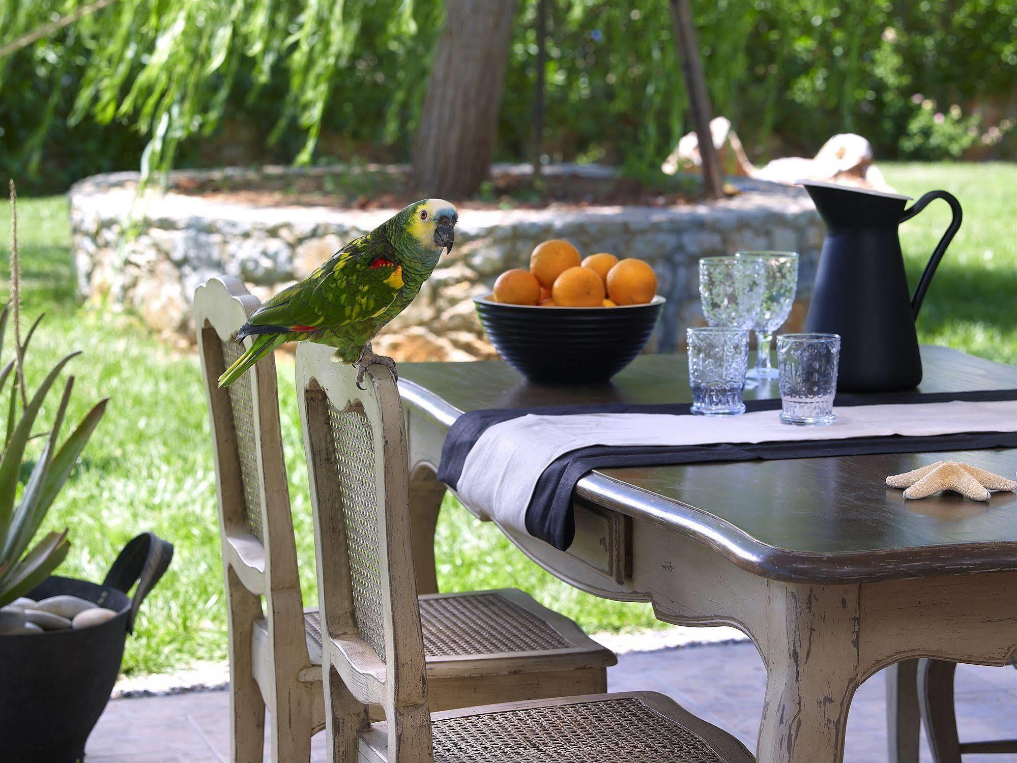 Sunvillage Malia Boutique Hotel And Suites エクステリア 写真